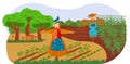 Farm scarecrows on field with harvest, autumn season, thanksgiving holiday cartoon vector illustration. Farm straw Royalty Free Stock Photo