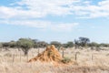 Farm scene with anthill between Okahandja and Otjiwarongo Royalty Free Stock Photo