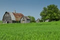 Farm scene with barn and outbuildings