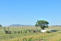 Farm scene south of Springfontein