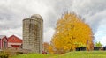 farm scene with two grain silos, barns and yellow sugar maple tree in Fall Royalty Free Stock Photo