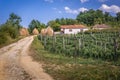 Farm in Serbia - Moravica region