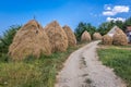 Farm in Serbia