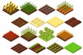 Farm Set Isometric View. Vector