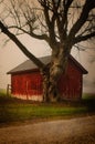 Farm shed Royalty Free Stock Photo