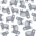 Farm sheep seamless pattern. Vintage style background.