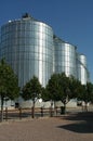 Farm Silos Royalty Free Stock Photo