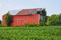 Farm with soybean crops in front of red barn with destroyed roof from wind damage Royalty Free Stock Photo