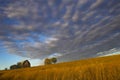 Farm with spectacular sky