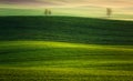 Farm in the spring of rising sun.