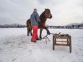 Farm staff prepare horse for hooves clearing by backsmith