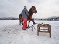 Farm staff prepare horse for hooves clearing by backsmith Royalty Free Stock Photo