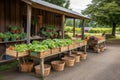 farm stand with baskets of freshly picked produce, ready for customers