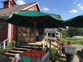 Farm stand display filled with ripe tomatoes with a porch for farm store in background