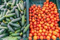 A farm stand display of organic vegetables. Produce. tomatoes and cucumbers. Vegetable stall at the market Royalty Free Stock Photo