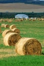 Farm with straw piles Royalty Free Stock Photo