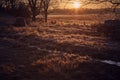 Farm sunrise frost