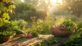 Farm-to-Table Serenity: Fresh Vegetables on Wooden Table with Morning Sunlight Royalty Free Stock Photo