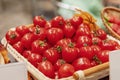 Farm tomatoes in a basket lie in the window of the farmer`s market. The latest hybrid varieties of vegetables Royalty Free Stock Photo