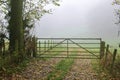 Farm track to foggy field Royalty Free Stock Photo