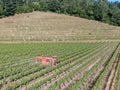 Farm tractor spraying pesticides & insecticides herbicides over green vineyard field Royalty Free Stock Photo