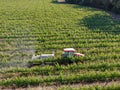 Farm tractor spraying pesticides & insecticides herbicides over green vineyard field Royalty Free Stock Photo