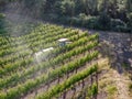 Farm tractor spraying pesticides & insecticides herbicides over green vineyard field Royalty Free Stock Photo