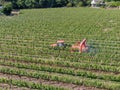 Farm tractor spraying pesticides & insecticides herbicides over green vineyard field Royalty Free Stock Photo