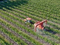 Farm tractor spraying pesticides & insecticides herbicides over green vineyard field Royalty Free Stock Photo