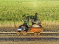 Farm Tractors working on sugar cane harvest plantation aerial view Royalty Free Stock Photo