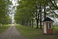 Farm with treelined dirt road in Ontario, Canada