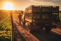 farm truck carries farm workers or farm supplies to various locations on the farm. Golden hour with warm, soft lighting. Evening.