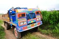 Farm truck among lush meadows