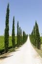 Farm in Umbria