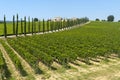 Farm in Umbria