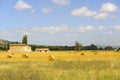 Farm in Umbria