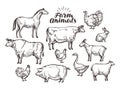 Farm, vector sketch. Collection animals such as horse, cow, bull, sheep, pig, rooster, chicken, hen, goose, rabbit Royalty Free Stock Photo