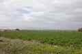 Farm and vegetable gardens and greenhouses Royalty Free Stock Photo