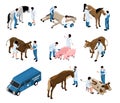 Farm Veterinary Isometric Set