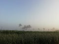 Farm in village morning photo in dhumash