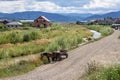 Farm wagon in Romania