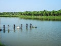 Farm water aeration system for Outdoor fish or shrimp farming pond.