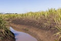 Farm Water Crops