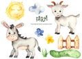 Farm watercolor set with donkey, goat, meadow, fence, sun, flowers Royalty Free Stock Photo