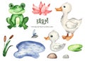 Farm watercolor set with frog, goose, baby goose, pond, reeds, water lily