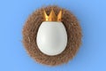 Farm white egg with gold royal king crown in bird nest on blue background Royalty Free Stock Photo