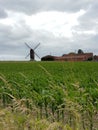 farm with windmill and green crops under the cloudy sky. Royalty Free Stock Photo