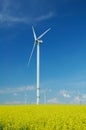 Farm of windturbines close to field