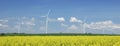 Farm of windturbines close to field