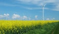 Farm of windturbines close to field Royalty Free Stock Photo